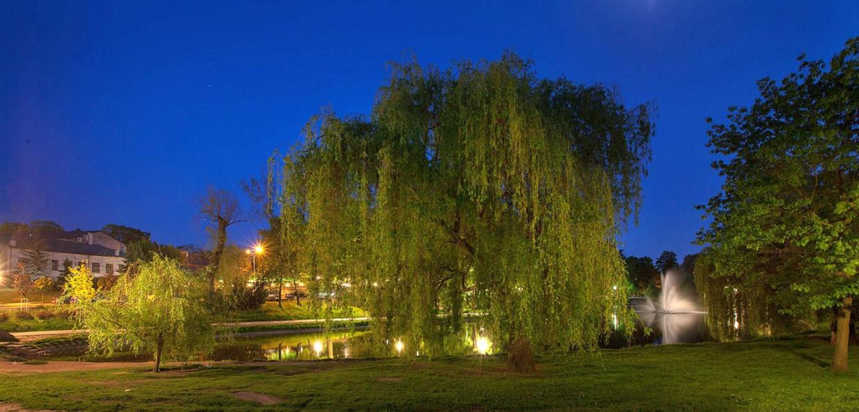 Apartament Solna 80 - Centrum Miasta Z Podziemnym Garazem Kielce Bagian luar foto